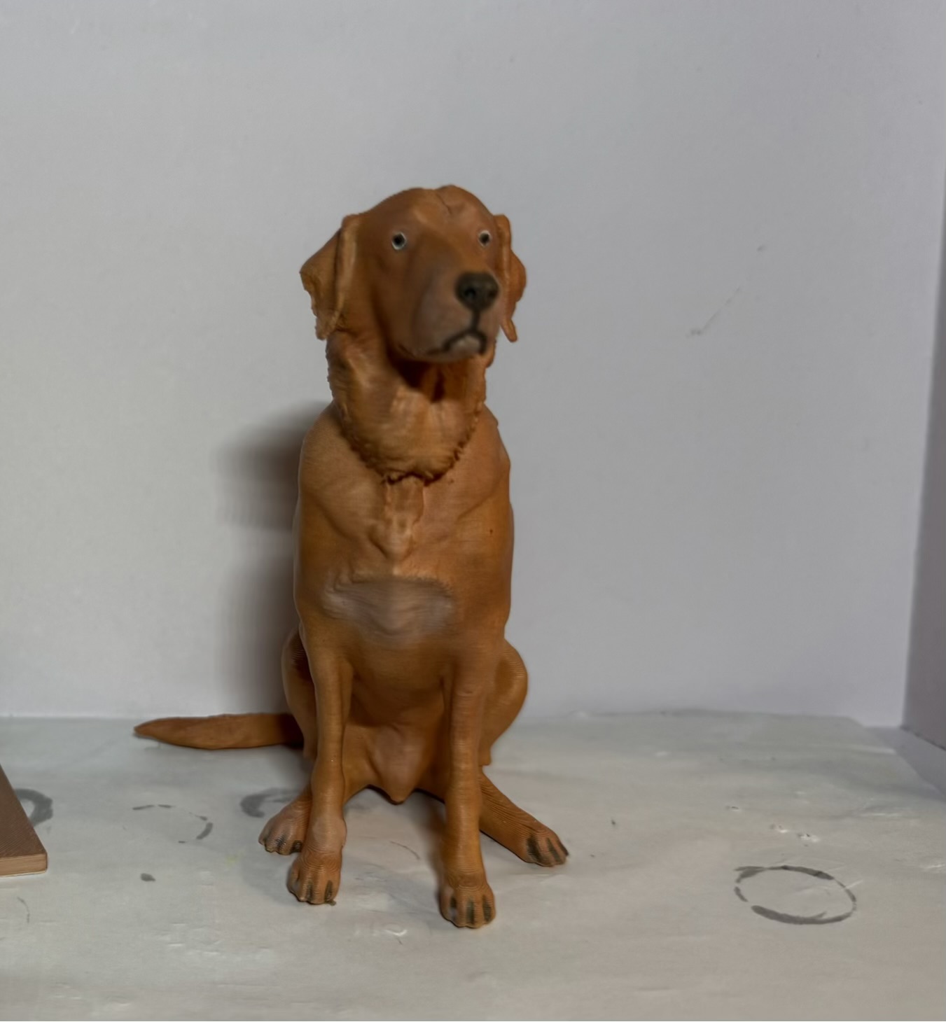 Amici cuccioli